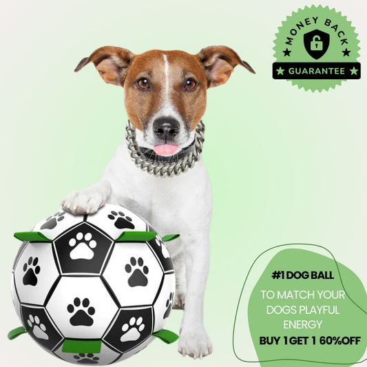 TugMaster Viral Dog Ball